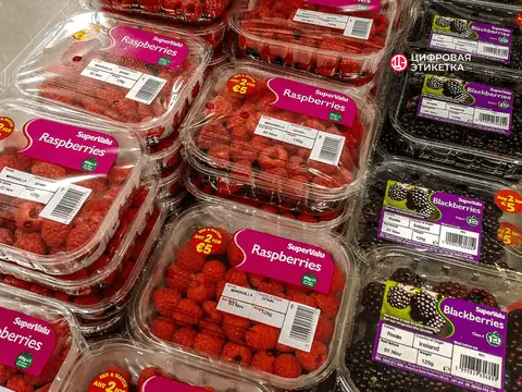 Самоклеящиеся этикетки для продуктов питания: 3 секрета долгого хранения Самоклеящиеся этикетки для продуктов питания: 3 секрета долгого хранения