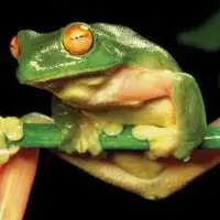 Самоклеящиеся этикетки на самогон