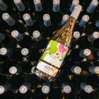 Самоклеящиеся этикетки с логотипом